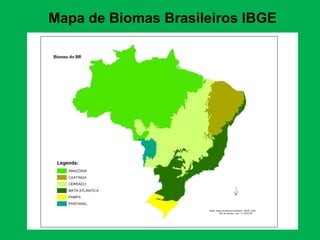 Mapa de Biomas Brasileiros IBGE
 