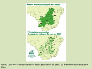 Fonte: Conservação Internacional – Brasil, Estimativas de perda da área do cerrado brasileiro,
2004.
 