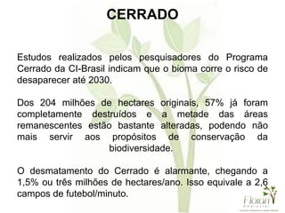CERRADO
Estudos realizados pelos pesquisadores do Programa
Cerrado da CI-Brasil indicam que o bioma corre o risco de
desaparecer até 2030.
Dos 204 milhões de hectares originais, 57% já foram
completamente destruídos e a metade das áreas
remanescentes estão bastante alteradas, podendo não
mais servir aos propósitos de conservação da
biodiversidade.
O desmatamento do Cerrado é alarmante, chegando a
1,5% ou três milhões de hectares/ano. Isso equivale a 2,6
campos de futebol/minuto.
 