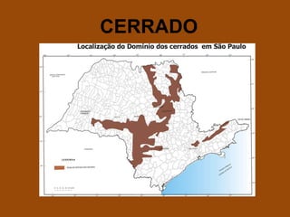 CERRADO
 