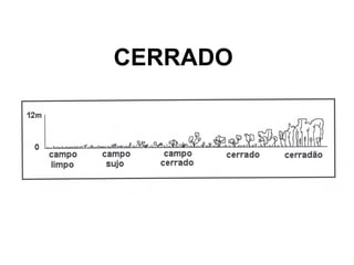 CERRADO
 