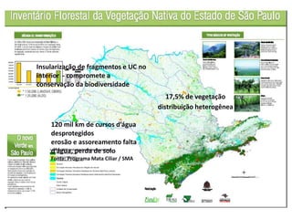 Insularização de fragmentos e UC no
interior - compromete a
conservação da biodiversidade
17,5% de vegetação
distribuição heterogênea
120 mil km de cursos d’água
desprotegidos
erosão e assoreamento falta
d’água, perda de solo
Fonte: Programa Mata Ciliar / SMA
 