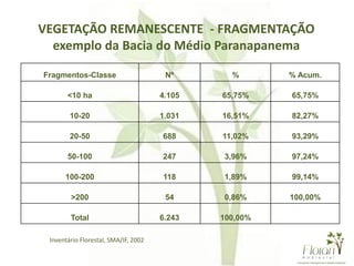 VEGETAÇÃO REMANESCENTE - FRAGMENTAÇÃO
exemplo da Bacia do Médio Paranapanema
Fragmentos-Classe Nº % % Acum.
<10 ha 4.105 65,75% 65,75%
10-20 1.031 16,51% 82,27%
20-50 688 11,02% 93,29%
50-100 247 3,96% 97,24%
100-200 118 1,89% 99,14%
>200 54 0,86% 100,00%
Total 6.243 100,00%
Inventário Florestal, SMA/IF, 2002
 
