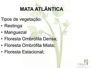 Tipos de vegetação:
• Restinga
• Manguezal
• Floresta Ombrófila Densa;
• Floresta Ombrófila Mista;
• Floresta Estacional;
MATA ATLÂNTICA
 