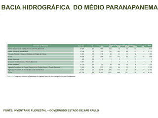 BACIA HIDROGRÁFICA DO MÉDIO PARANAPANEMA
FONTE: INVENTÁRIO FLORESTAL – GOVERNODO ESTADO DE SÃO PAULO
 