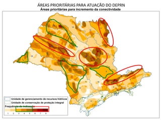 ÁREAS PRIORITÁRIAS PARA ATUAÇÃO DO DEPRN
 