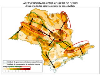 ÁREAS PRIORITÁRIAS PARA ATUAÇÃO DO DEPRN
 
