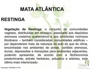 RESTINGA
Vegetação de Restinga: o conjunto de comunidades
vegetais, distribuídas em mosaico, associado aos depósitos
arenosos costeiros quaternários e aos ambientes rochosos
litorâneos – também consideradas comunidades edáficas –
por dependerem mais da natureza do solo do que do clima,
encontradas nos ambientes de praias, cordões arenosos,
dunas, depressões e transições para ambientes adjacentes,
podendo apresentar, de acordo com a fitofisionomia
predominante, estrato herbáceo, arbustivo e arbóreo, este
último mais interiorizado.
Resolução CONAMA 417/09
MATA ATLÂNTICA
 