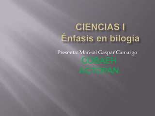 Presenta: Marisol Gaspar Camargo
        COBAEH
        ACTOPAN
 