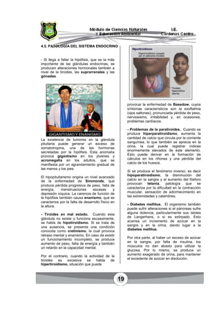 19
4.5. PATOLOGÍA DEL SISTEMA ENDOCRINO
- Si llega a fallar la hipófisis, que es la más
importante de las glándulas endocrinas, se
producen alteraciones hormonales también a
nivel de la tiroides, las suprarrenales y las
gónadas.
La existencia de tumores en la glándula
pituitaria puede generar un exceso de
somatotropina, una de las hormonas
secretadas por la hipófisis. Esta anomalía
provoca gigantismo en los jóvenes y
acromegalia en los adultos, que se
manifiesta por un agrandamiento gradual de
las manos y los pies.
El hipopituitarismo origina un nivel avanzado
de la enfermedad de Simmonds, que
produce pérdida progresiva de peso, falta de
energía, menstruaciones escasas y
depresión síquica. La carencia de función de
la hipófisis también causa enanismo, que se
caracteriza por la falta de desarrollo físico en
la altura.
- Tiroides en mal estado. Cuando esta
glándula no existe o funciona escasamente,
se habla de hipotiroidismo. Si se trata de
una ausencia, se presenta una condición
conocida como cretinismo, la cual provoca
retraso mental y enanismo. En caso de existir
un funcionamiento incompleto, se produce
aumento de peso, falta de energía y también
un retardo en la capacidad mental.
Por el contrario, cuando la actividad de la
tiroides es excesiva se habla de
hipertiroidismo, situación que puede
provocar la enfermedad de Basedow, cuyos
síntomas característicos son la exoftalmia
(ojos saltones), pronunciada pérdida de peso,
nerviosismo, irritabilidad y, en ocasiones,
problemas cardíacos.
- Problemas de la paratiroides. Cuando se
produce hiperparatiroidismo, aumenta la
cantidad de calcio que circula por la corriente
sanguínea, lo que también se aprecia en la
orina, la cual puede registrar índices
enormemente elevados de este elemento.
Esto puede derivar en la formación de
cálculos en los riñones y una pérdida del
calcio de los huesos.
Si se produce el fenómeno inverso, es decir
hipoparatiroidismo, la disminución del
calcio en la sangre y el aumento del fósforo
provocan tetania, patología que se
caracteriza por la dificultad en la contracción
muscular, sensación de adormecimiento en
las extremidades y calambres.
- Diabetes mellitus. El organismo también
puede sufrir alteraciones si el páncreas sufre
alguna dolencia, particularmente sus islotes
de Langerhans, o si es extirpado. Esto
acarrea un incremento de azúcar en la
sangre y en la orina, dando lugar a la
diabetes mellitus.
Por otra parte, al haber un exceso de azúcar
en la sangre, por falta de insulina, los
músculos no dan abasto para utilizar la
glucosa. Por lo mismo, se produce un
aumento exagerado de orina, para mantener
el excedente de azúcar en disolución.
 