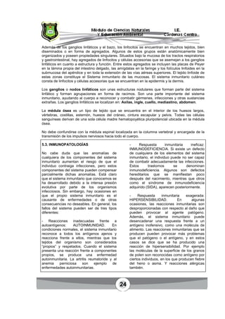 24
Además de los ganglios linfáticos y el bazo, los linfocitos se encuentran en muchos tejidos, bien
diseminados o en forma de agregados. Algunos de estos grupos están anatómicamente bien
organizados y poseen propiedades singulares. Situados bajo la mucosa de los tractos respiratorios
y gastrointestinal, hay agregados de linfocitos y células accesorias que se asemejan a los ganglios
linfáticos en cuanto a estructura y función. Entre estos agregados se incluyen las placas de Peyer
en la lámina propia del intestino delgado, las amígdalas en la faringe y los folículos linfoides en la
submucosa del apéndice y en toda la extensión de las vías aéreas superiores. El tejido linfoide de
estas zonas constituye el Sistema inmunitario de las mucosas. El sistema inmunitario cutáneo
consta de linfocitos y células accesorias que se encuentran en la epidermis y la dermis.
Los ganglios o nodos linfáticos son unas estructuras nodulares que forman parte del sistema
linfático y forman agrupaciones en forma de racimos. Son una parte importante del sistema
inmunitario, ayudando al cuerpo a reconocer y combatir gérmenes, infecciones y otras sustancias
extrañas. Los ganglios linfáticos se localizan en: Axilas, ingle, cuello, mediastino, abdomen.
La médula ósea es un tipo de tejido que se encuentra en el interior de los huesos largos,
vértebras, costillas, esternón, huesos del cráneo, cintura escapular y pelvis. Todas las células
sanguíneas derivan de una sola célula madre hematopoyética pluripotencial ubicada en la médula
ósea.
No debe confundirse con la médula espinal localizada en la columna vertebral y encargada de la
transmisión de los impulsos nerviosos hacia todo el cuerpo.
5.3. INMUNOPATOLOGÍAS
No cabe duda que las anomalías de
cualquiera de los componentes del sistema
inmunitario aumentan el riesgo de que el
individuo contraiga infecciones, pero estos
componentes del sistema pueden compensar
parcialmente dichas anomalías. Está claro
que el sistema inmunitario que conocemos se
ha desarrollado debido a la intensa presión
evolutiva por parte de los organismos
infecciosos. Sin embargo, hay ocasiones en
que el propio sistema inmunitario es el
causante de enfermedades o de otras
consecuencias no deseables. En general, los
fallos del sistema pueden ser de tres tipos
diferentes:
- Reacciones inadecuadas frente a
autoantígenos: AUTOINMUNIDAD. En
condiciones normales, el sistema inmunitario
reconoce a todos los antígenos ajenos y
reacciona frente a ellos, mientras que los
tejidos del organismo son considerados
“propios” y respetados. Cuando el sistema
presenta una reacción frente a componentes
propios, se produce una enfermedad
autoinmunitaria. La artritis reumatoride y al
anemia perniciosa son ejemplo de
enfermedades autoinmunitarias.
- Respuesta inmunitaria ineficaz:
INMUNODEFICIENCIA. Si existe un defecto
de cualquiera de los elementos del sistema
inmunitario, el individuo puede no ser capaz
de combatir adecuadamente las infecciones.
Estos trastornos se denominan
inmunodeficiencia. Algunos son defectos
hereditarios que se manifiestan poco
después del nacimiento, mientras que otros
como el síndrome de inmunodeficiencia
adquirido (SIDA), aparecen posteriormente.
- Respuesta inmunitaria exagerada:
HIPERSENSIBILIDAD. En algunas
ocasiones, las reacciones inmunitarias son
desproporcionadas con respecto al daño que
pueden provocar al agente patógeno.
Además, el sistema inmunitario puede
desencadenar una respuesta frente a un
antígeno inofensivo, como una molécula de
alimento. Las reacciones inmunitarias que se
producen pueden provocar más problemas
que el patógeno o el antígeno, y en estos
casos se dice que se ha producido una
reacción de hipersensibilidad. Por ejemplo
las moléculas de la superficie de los granos
de polen son reconocidas como antígeno por
ciertos individuos, en los que producen fiebre
del heno o asma. Y reacciones alérgicas
también.
 