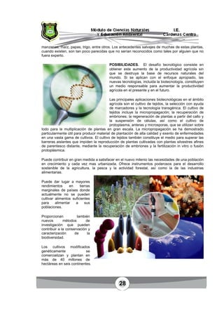 28
manzanas, maíz, papas, trigo, entre otros. Los antecedentes salvajes de muchas de estas plantas,
cuando existen, son tan poco parecidas que no serían reconocidos como tales por alguien que no
fuera experto.
POSIBILIDADES. El desafío tecnológico consiste en
obtener este aumento de la productividad agrícola sin
que se destruya la base de recursos naturales del
mundo. Si se aplican con el enfoque apropiado, las
nuevas tecnologías, incluida la biotecnología, constituyen
un medio responsable para aumentar la productividad
agrícola en el presente y en el futuro.
Las principales aplicaciones biotecnológicas en el ámbito
agrícola son el cultivo de tejidos, la selección con ayuda
de marcadores y la tecnología transgénica. El cultivo de
tejidos incluye la micropropagación; la recuperación de
embriones; la regeneración de plantas a partir del callo y
la suspensión de células, así como el cultivo de
protoplasma, anteras y microsporas, que se utilizan sobre
todo para la multiplicación de plantas en gran escala. La micropropagación se ha demostrado
particularmente útil para producir material de plantación de alta calidad y exento de enfermedades
en una vasta gama de cultivos. El cultivo de tejidos también constituye el medio para superar las
barreras aislantes que impiden la reproducción de plantas cultivadas con plantas silvestres afines
de parentesco distante, mediante la recuperación de embriones y la fertilización in vitro o fusión
protoplásmica.
Puede contribuir en gran medida a satisfacer en el nuevo milenio las necesidades de una población
en crecimiento y cada vez mas urbanizada. Ofrece instrumentos poderosos para el desarrollo
sostenible de la agricultura, la pesca y la actividad forestal, así como la de las industrias
alimentarias.
Puede dar lugar a mayores
rendimientos en tierras
marginales de países donde
actualmente no se pueden
cultivar alimentos suficientes
para alimentar a sus
poblaciones.
Proporcionan también
nuevos métodos de
investigación que pueden
contribuir a la conservación y
caracterización de la
biodiversidad.
Los cultivos modificados
genéticamente se
comercializan y plantan en
más de 40 millones de
hectáreas en seis continentes.
 