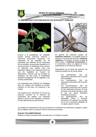 6
1.2. IRRITABILIDAD O EXCITABILIDAD EN LOS VEGETALES Y ANIMALES
Gracias a la excitabilidad, los vegetales
pueden percibir estímulos externos y
reaccionar produciendo respuestas. Las
respuestas de los vegetales son de
naturaleza muy diferente de las respuestas
de los animales, aunque están basadas en el
mismo principio: la irritabilidad de las células.
La diferencia más notable entre una
respuesta vegetal y una respuesta animal es
que los vegetales se mueven sin
desplazarse, mientras que los animales se
desplazan. De este modo, la excitabilidad
posibilita la adaptación de los vegetales a los
cambios ambientales.
Las respuestas que producen los vegetales
ante los cambios del ambiente se pueden
clasificar en dos tipos: los tropismos y las
nastias.
Los tropismos son respuestas en las que se
producen cambios en la dirección del
crecimiento del vegetal. Los tropismos
alteran la forma de los vegetales y producen
en ellos deformaciones permanentes.
En general, los tropismos pueden ser
tropismos positivos, si el vegetal crece en
dirección a la fuente del estímulo, tropismos
negativos, si el vegetal, al crecer, se aleja de
dicha fuente; o tropismos transversales, si
el crecimiento coloca al vegetal de forma
perpendicular a la fuente del estímulo.
Dependiendo de la fuente del estímulo, los
tropismos pueden ser de varias clases:
- Los geotropismos. Son las
respuestas producidas ante la acción
de la gravedad.
- Los fototropismos. Son las
respuestas producidas ante la acción
de la luz.
- Los quimiotropismos. Son las
respuestas producidas ante la acción
de las sustancias químicas. El más
conocido es la acción del agua, hacia
la que las raíces presentan
hidrotropismo positivo.
- Los tigmotropismos. Son las
respuestas frente a acciones
mecánicas. Por ejemplo, los zarcillos
de la vid se enroscan alrededor de
un objeto cuando lo rozan.
Las nastias son respuestas en las que se produce un movimiento sin orientación y pasajero, puesto
que el vegetal vuele a su posición inicial al cabo de poco tiempo.
EVALÚA TUS COMPETENCIAS
Realiza un mapa conceptual acerca de este tema, con dibujos y estudia.
 