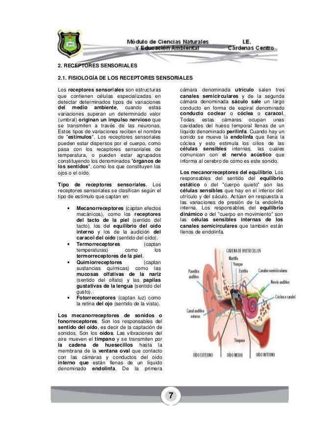 Ciencias Naturales Grado Octavo | modulo ciencias naturales ciclo iv grado octavo Ciencias Naturales Grado Octavo | modulo ciencias naturales ciclo iv grado octavo