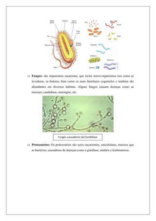  Fungos: são organismos eucariotas, que inclui micro-organismos tais como as
leveduras, os bolores, bem como os mais familiares cogumelos e também são
abundantes em diversos habitats. Alguns fungos causam doenças como as
micoses, candidíase, meningite, etc.
 Protozoários: Os protozoários são seres eucariontes, unicelulares, maiores que
as bactérias, causadoras de doenças como a giardíase, malária e leishmaniose.
Fungos causadores da Candidíase
 