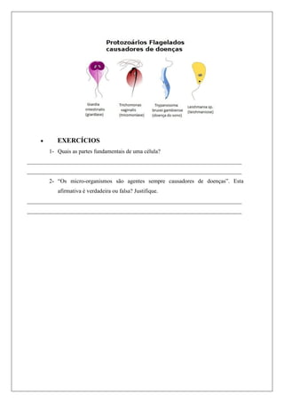  EXERCÍCIOS
1- Quais as partes fundamentais de uma célula?
___________________________________________________________________________
___________________________________________________________________________
2- “Os micro-organismos são agentes sempre causadores de doenças”. Esta
afirmativa é verdadeira ou falsa? Justifique.
___________________________________________________________________________
___________________________________________________________________________
 