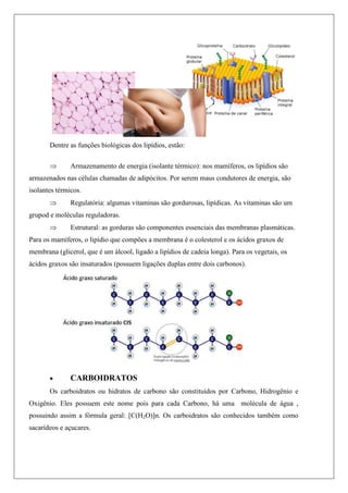 Dentre as funções biológicas dos lipídios, estão:
 Armazenamento de energia (isolante térmico): nos mamíferos, os lipídios são
armazenados nas células chamadas de adipócitos. Por serem maus condutores de energia, são
isolantes térmicos.
 Regulatória: algumas vitaminas são gordurosas, lipídicas. As vitaminas são um
grupod e moléculas reguladoras.
 Estrutural: as gorduras são componentes essenciais das membranas plasmáticas.
Para os mamíferos, o lipídio que compões a membrana é o colesterol e os ácidos graxos de
membrana (glicerol, que é um álcool, ligado a lipídios de cadeia longa). Para os vegetais, os
ácidos graxos são insaturados (possuem ligações duplas entre dois carbonos).
 CARBOIDRATOS
Os carboidratos ou hidratos de carbono são constituídos por Carbono, Hidrogênio e
Oxigênio. Eles possuem este nome pois para cada Carbono, há uma molécula de água ,
possuindo assim a fórmula geral: [C(H2O)]n. Os carboidratos são conhecidos também como
sacarídeos e açucares.
 