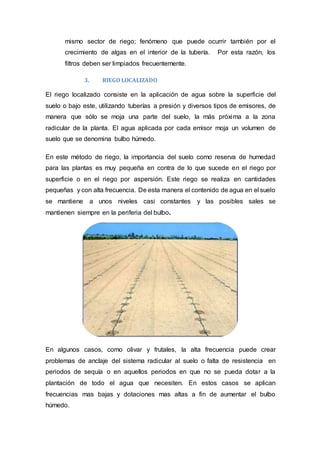 Modulo De Riega Modulo de riego hidraulica | DOCX