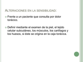 Alteraciones en la sensibilidad: Frente a un paciente que consulta por dolor torácico.Definir mediante el examen de la piel, el tejido celular subcutáneo, los músculos, los cartílagos y los huesos, si éste se origina en la caja torácica.