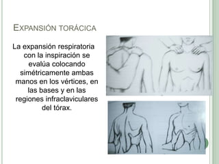 Expansión torácicaLa expansión respiratoria con la inspiración se evalúa colocando simétricamente ambas manos en los vértices, en las bases y en las regiones infraclaviculares del tórax.
