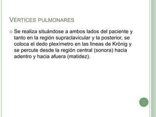 Vértices pulmonaresSe realiza situándose a ambos lados del paciente y tanto en la región supraclavicular y la posterior, se coloca el dedo plexímetro en las lineas de Krönig y se percute desde la región central (sonora) hacia adentro y hacia afuera (matidez).