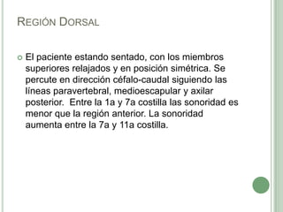 Región DorsalEl paciente estando sentado, con los miembros superiores relajados y en posición simétrica. Se percute en dirección céfalo-caudal siguiendo las líneas paravertebral, medioescapular y axilar posterior.  Entre la 1a y 7a costilla las sonoridad es menor que la región anterior. La sonoridad aumenta entre la 7a y 11a costilla.