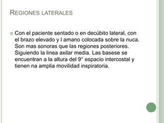 Regiones lateralesCon el paciente sentado o en decúbito lateral, con el brazo elevado y l amano colocada sobre la nuca. Son mas sonoras que las regiones posteriores. Siguiendo la linea axilar media. Las basese se encuentran a la altura del 9° espacio intercostal y tienen na amplia movilidad inspiratoria. 