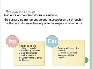 REGIÓN ANTERIOR
Paciente en decúbito dorsal o sentado.
Se percute sobre los espacioes intercostales en dirección
 céfalo-caudal mientras el paciente respira suavemente.




   Izq                            Der
          A partir de la 3ra
          costilla zona de              Sonoridad hasta 5ta
          sumatidez y matidez.          costilla.
          Cerca del reborde             Sobre la 6ta costilla
          costal aparece el             aparece matidez
          timpanismo de la zona         hepática.
          de Traube.
 