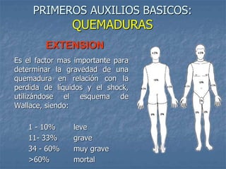 PRIMEROS AUXILIOS BASICOS:
QUEMADURAS
Es el factor mas importante para
determinar la gravedad de una
quemadura en relación con la
perdida de líquidos y el shock,
utilizándose el esquema de
Wallace, siendo:
1 - 10% leve
11- 33% grave
34 - 60% muy grave
>60% mortal
EXTENSION
 