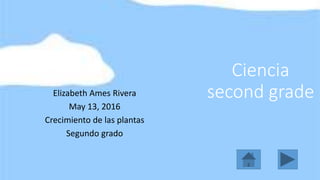 Ciencia
second gradeElizabeth Ames Rivera
May 13, 2016
Crecimiento de las plantas
Segundo grado
 