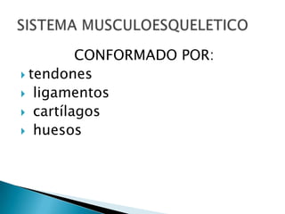 A.  Artritis reumatoidea1. Con factor reumatoideo IgM positivo2. Con factor reumatoideo IgM negativo