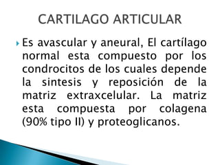2. De inicio poliarticular