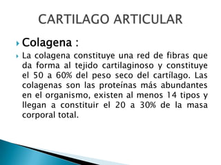 a) Con factor reumatoideoIgM positivo