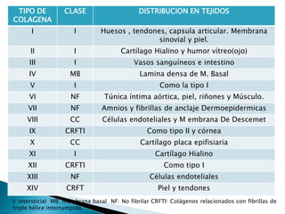 b) Con factor reumatoideoIgM negativo