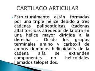 3. De inicio oligoarticular ( pauciarticular)