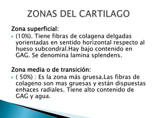 b) Asociado con uveitis crónica y anticuerpo antinuclear