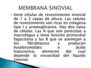 d) Con factor reumatoideoIgM positivoC. Lupus eritematoso1. Lupus eritematoso sistemico2. Lupus eritematoso relacionado con drogas