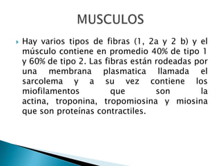 b) CREST ( calcinosis , Raynaud, disfunción esofagica, esclerodactilia