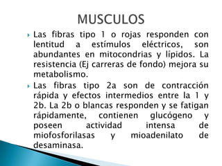 y telangiectasias).E. Escleroderma inducida por químicos o drogas