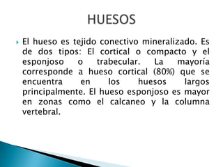 F. Fascitis difusa con o sin eosinofilia