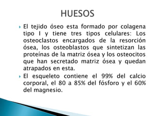 G. Polimiositis1. Polimiositis2. Dermatomiositis3. Polimiositis o dermatomiositis asociada con malignidad4. Polimiositis de la infancia o dermatomiositis asociada con vasculopatía
