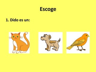 Escoge
1. Dido es un:
 