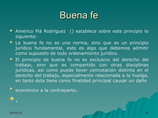 Buena fe
Buena fe
 Américo Plá Rodríguez () establece sobre este principio lo
siguiente:
 La buena fe no es una norma, sino que es un principio
jurídico fundamental, esto es algo que debemos admitir
como supuesto de todo ordenamiento jurídico.
 El principio de buena fe no es exclusivo del derecho del
trabajo, sino que es compartido con otras disciplinas
jurídicas, así como puede tener connotación distinta en el
derecho del trabajo, especialmente relacionada a la huelga,
en tanto ésta tiene como finalidad principal causar un daño

económico a la contraparte.
 .
29/04/25
29/04/25 56
56
 