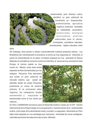 biodiversidad, para América Latina,
identificó un gran potencial de
crecimiento en: biopesticidas,
biofertilizantes, agricultura
orgánica, productos forestales
no maderables, acuacultura,
e c o t u r i s m o , e n e r g í a s
r e n o v a b l e s , p l a n t a s
medicinales para el cáncer,
homeopatía, cosméticos naturales,
ecocolorantes, tejidos naturales, entre
otros.
Sin embargo, otros países sí utilizan comercialmente nuestros productos nativos. Los
Brasileños han industrializado la arracacha, la achira es muy negociada en Colombia, el
yacón es industrializado en el Japón, el babaco (papaya) es muy apreciado en Nueva
Zelandia, la naranjilla se consume mucho en Colombia, el sauco es muy conocido en toda
Europa, el mamey zapote es muy
común en México, entre otras tantas
especies de flora domesticadas por los
antiguos Peruanos. Esto demuestra
que existe un gran potencial de
mercado externo, que puede ser
atendido desde los andes Peruanos,
justamente en zonas de extrema
pobreza. Si se promueven estos
negocios, los campesinos locales
mantendrán y mejorarán la
biodiversidad como lo han hecho por
milenios.
En Perú, CONDESAN (Consorcio para el Desarrollo Andino) creado por el CIP (Centro
Internacional de la Papa) trabaja en la recuperación y mantenimiento de la biodiversidad
andina, como base de la alimentación local y mundial. La seguridad alimentaria en Perú
debe estar apoyada en una estrategia que reconozca diversidad de zonas ecológicas,
culturales que hacen de cada zona casi un país diferente.
 