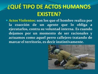 ¿QUÉ TIPO DE ACTOS HUMANOS
          EXISTEN?
 Actos Violentos: son los que el hombre realiza por
 la coacción de un agente que lo obliga a
 ejecutarlos, contra su voluntad interna. Es cuando
 dejamos por un momento de ser racionales y
 actuamos como aquel perro callejero tratando de
 marcar el territorio, es decir instintivamente.
 