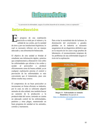 10
3. ENFERMEDADES PORCINAS
“La prevención de enfermedades, asegura el excelente desarrollo de los animales y éxitos en explotación”.
3.1. Introducción
l progreso de una explotación
porcícola se mide por el número y la
calidad de sus cerdos, por la sanidad
de éstos y por sus instalaciones higiénicas, lo
cual es necesario reforzar con un manejo
adecuado y una alimentación balanceada.
El objetivo de esta unidad es brindar al
estudiante una información rápida y práctica
que complementará y afianzará lo visto sobre
las enfermedades que afectan a los cerdos y
ayudar al porcicultor a producir
eficientemente carne de buena calidad, ya en
cualquier explotación porcina el control o
prevención de las enfermedades es más
conveniente que el tratamiento, pues este
último resulta muy costoso.
El compromiso de un buen porcicultor es
incrementar en forma eficiente su industria,
por lo cual, no sólo es suficiente adquirir
animales de alta calidad, sino también buscar
un aumento de la producción y la
productividad del sector, teniendo en cuenta
un adecuado control de las enfermedades,
parásitos y otras plagas, manteniendo un
buen programa de sanidad en los animales,
corrales y marraneras.
Para evitar la mortalidad alta de lechones, la
disminución del crecimiento y grandes
pérdidas en la industria es necesario
asegurarnos de un diagnóstico definitivo que
en la mayoría de los casos exige pruebas de
laboratorio, el reconocimiento temprano de
los problemas de una enfermedad asegura el
éxito de la explotación.
Imagen 14 – Enfermedades en Animales
Domésticos. Recuperado de
https://es.slideshare.net/xxmiguelonxx/zootecnia-
29168344
E
 