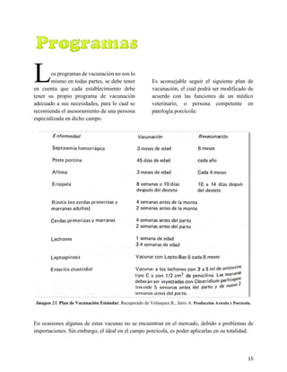 15
3.3.3.Programas de Vacunación
os programas de vacunación no son lo
mismo en todas partes, se debe tener
en cuenta que cada establecimiento debe
tener su propio programa de vacunación
adecuado a sus necesidades, para lo cual se
recomienda el asesoramiento de una persona
especializada en dicho campo.
Es aconsejable seguir el siguiente plan de
vacunación, el cual podrá ser modificado de
acuerdo con las funciones de un médico
veterinario, o persona competente en
patología porcícola:
Imagen 23. Plan de Vacunación Estándar. Recuperado de Velásquez R., Jairo A. Producción Avícola y Porcícola.
En ocasiones algunas de estas vacunas no se encuentran en el mercado, debido a problemas de
importaciones. Sin embargo, el ideal en el campo porcícola, es poder aplicarlas en su totalidad.
L
 