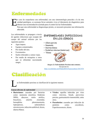 16
3.4. Enfermedades
n caso de sospecharse una enfermedad, con una sintomatología parecida a la de otra
entidad patológica, se aconseja llevar animales vivos al laboratorio de diagnóstico para
obtener una recomendación acertada para el control de las Enfermedades.
Para que una enfermedad se diagnostique pronto, es necesario presentar una información
adecuada.
Las enfermedades se propagan a través
de agentes infecciosos que escapan del
cuerpo del animal enfermo por los
siguientes puntos:
• Agua impura.
• Equipos contaminados.
• Por medio del aire.
• Excrementos.
• Suelos infectados y camas viejas.
• Por medio de mosquitos u otros
que se alimentan succionando
sangre.
Imagen 24. Enfermedades Porcinas más comunes.
Recuperado de
https://es.slideshare.net/FlOgGeRtOwN/porcicultura-33017478
3.4.1.Clasificación de las Enfermedades de los Cerdos
as Enfermedades porcinas se clasifican de la siguiente manera:
Causas directas de enfermedad
• Bacterianas: causadas por bacterias
como: neumonía enzoótica, Síndrome
MMA, abscesos, rinitis atrófica,
brucelosis, enteritis clostridial,
hemophilus pleuronuemonía,
leptospirosis, salmonellosis
micotoxicosis, infección umbilical, úlcera,
diarrea blanca.
• Virales: aquellas inducidas por virus
como: rotovirus, Smedi, parvovirus
porcino, gastroenteritis transmisible, entre
otros.
• Parasitarias: causadas por infección de
parásitos como: coccidiosis,
Esperitrozoonosis, úlcera.
E
L
 