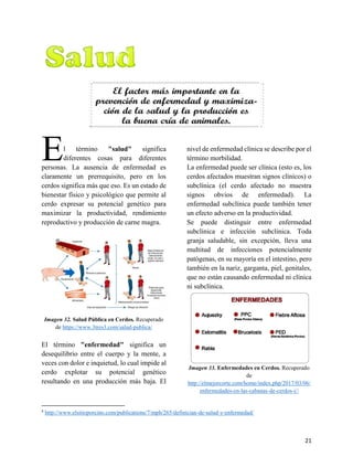 21
3.7. Definición de Salud y Enfermedad4
l término "salud" significa
diferentes cosas para diferentes
personas. La ausencia de enfermedad es
claramente un prerrequisito, pero en los
cerdos significa más que eso. Es un estado de
bienestar físico y psicológico que permite al
cerdo expresar su potencial genético para
maximizar la productividad, rendimiento
reproductivo y producción de carne magra.
Imagen 32. Salud Pública en Cerdos. Recuperado
de https://www.3tres3.com/salud-publica/
El término "enfermedad" significa un
desequilibrio entre el cuerpo y la mente, a
veces con dolor e inquietud, lo cual impide al
cerdo explotar su potencial genético
resultando en una producción más baja. El
4
http://www.elsitioporcino.com/publications/7/mph/265/definician-de-salud-y-enfermedad/
nivel de enfermedad clínica se describe por el
término morbilidad.
La enfermedad puede ser clínica (esto es, los
cerdos afectados muestran signos clínicos) o
subclínica (el cerdo afectado no muestra
signos obvios de enfermedad). La
enfermedad subclínica puede también tener
un efecto adverso en la productividad.
Se puede distinguir entre enfermedad
subclínica e infección subclínica. Toda
granja saludable, sin excepción, lleva una
multitud de infecciones potencialmente
patógenas, en su mayoría en el intestino, pero
también en la nariz, garganta, piel, genitales,
que no están causando enfermedad ni clínica
ni subclínica.
Imagen 33. Enfermedades en Cerdos. Recuperado
de
http://elmejorcorte.com/home/index.php/2017/03/06/
enfermedades-en-las-cabanas-de-cerdos-i//
E
 
