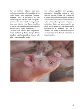 22
Hay un equilibrio delicado entre estos
patógenos potenciales y la inmunidad de los
cerdos frente a estos patógenos. Cualquier
alteración física o psicológica de esta
inmunidad puede volver al cerdo susceptible.
La buena cría, incluyendo la buena ganadería
tiene como objetivo evitar dichos disturbios,
ya que las enfermedades más virulentas estén
ausentes (por ej., rinitis atrófica, GET).
La buena cría significa buen alojamiento,
buena nutrición y buen manejo. Buena
ganadería significa cuidado y atención a la
salud y bienestar de los cerdos.
Este delicado equilibrio entre patógenos
potenciales e inmunidad porcina se vuelve
aún más precario en base a la explotación.
Causando enfermedad en pequeños grupos de
cerdos como consecuencia de un mal manejo
de los animales, los organismos patógenos se
multiplican hasta una concentración que
puede superar a los cerdos más resistentes. La
concentración se desarrolla otra vez y
amenaza con agotar la inmunidad colectiva
de la explotación (es decir, la inmunidad de
la explotación).
 